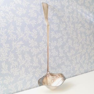 Silver Plated Ladle