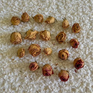 Dried Rose Buds