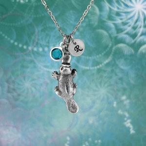 May include: A silver necklace with a charm of a platypus, a blue crystal, and a silver disc with the letter "R" engraved on it.