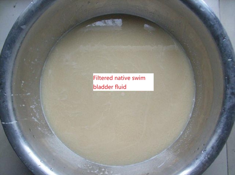 Fish bladder compound glue/Dried croaker bladder for making 画像 8