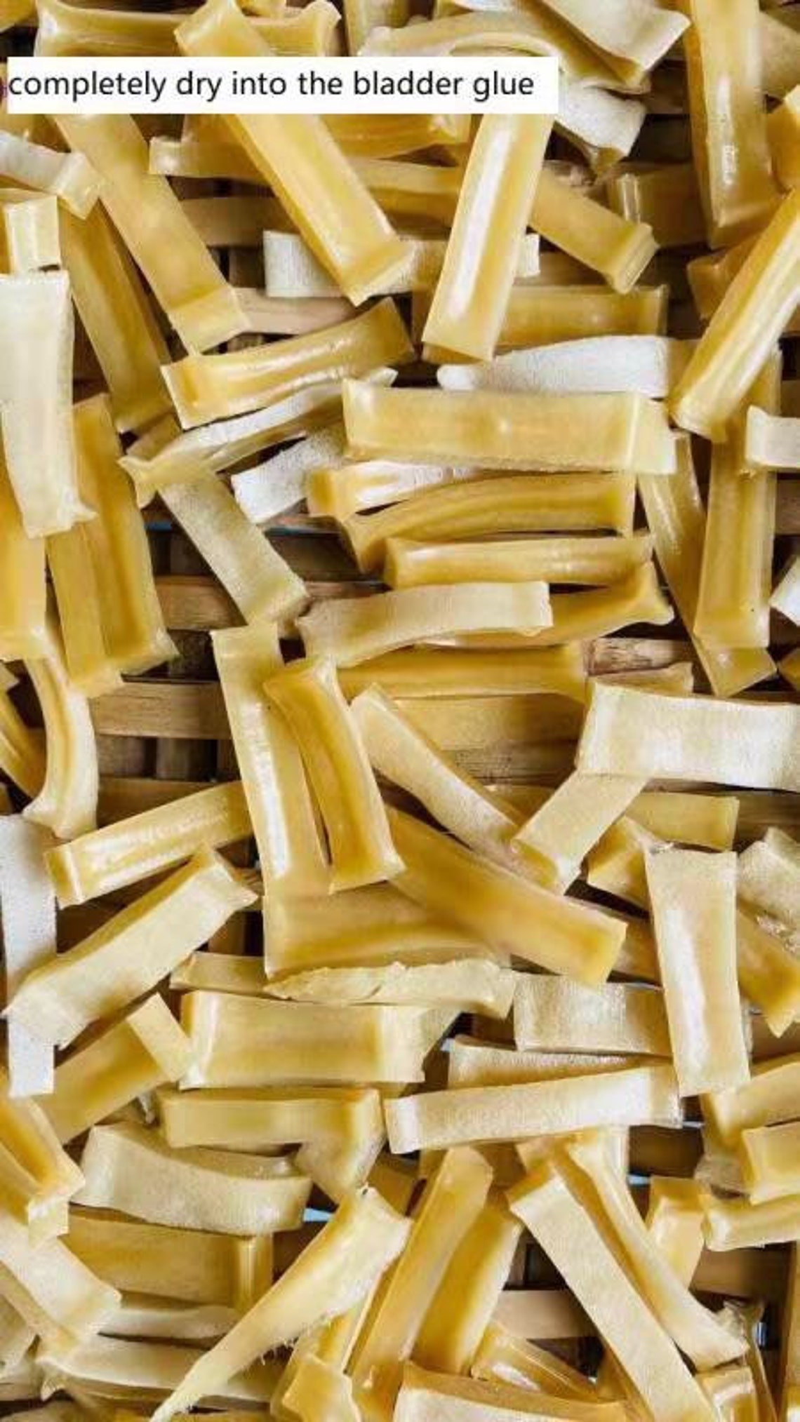 Dried Croaker Bladders for Making Fish Glue or Other Uses Etsy