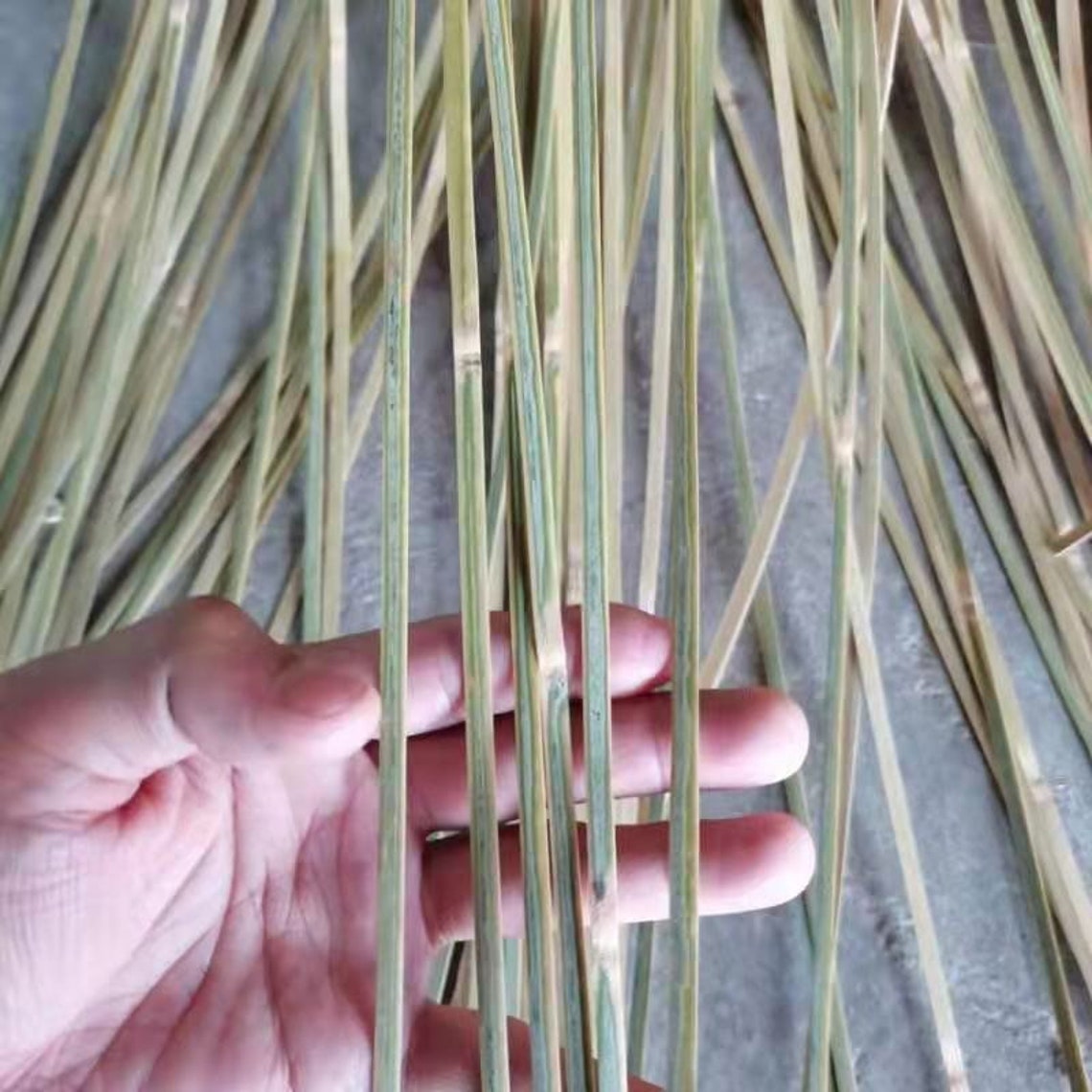 Varied Size Bamboo Strips for Making Bamboo Weaving Etsy
