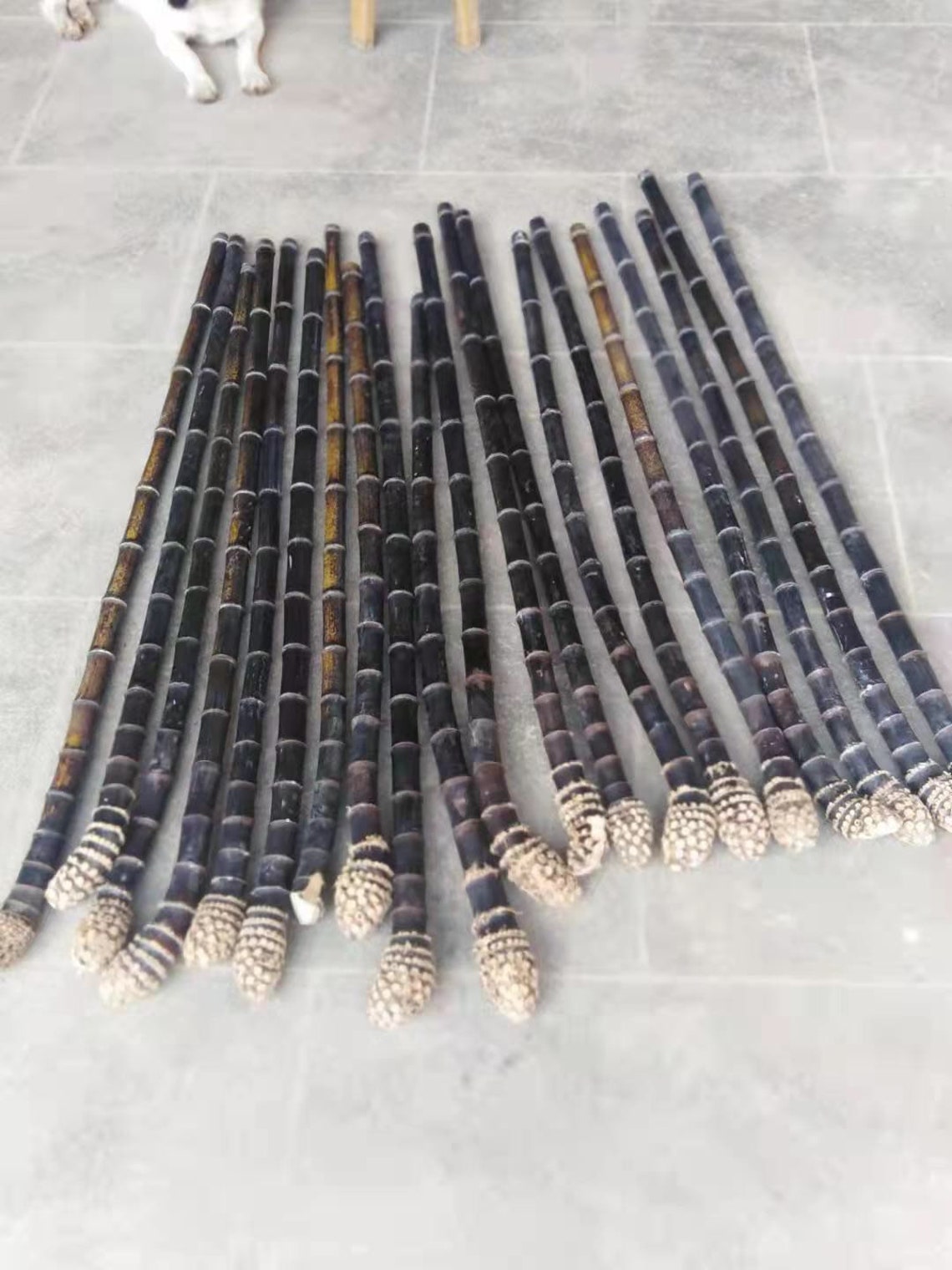 Length 53/57135145cmblack Bamboo Sticks With Root Etsy