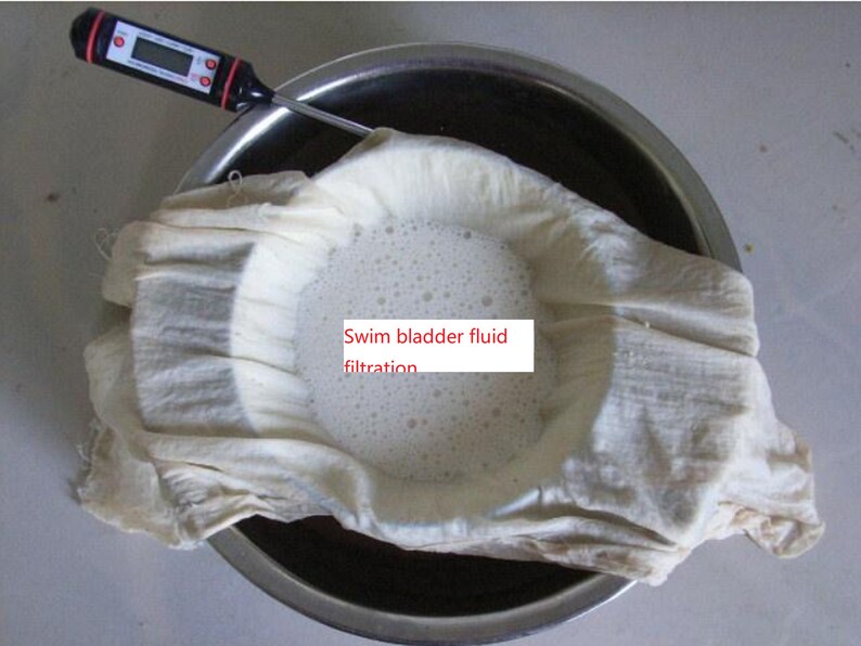 Fish bladder compound glue/Dried croaker bladder for making 画像 7