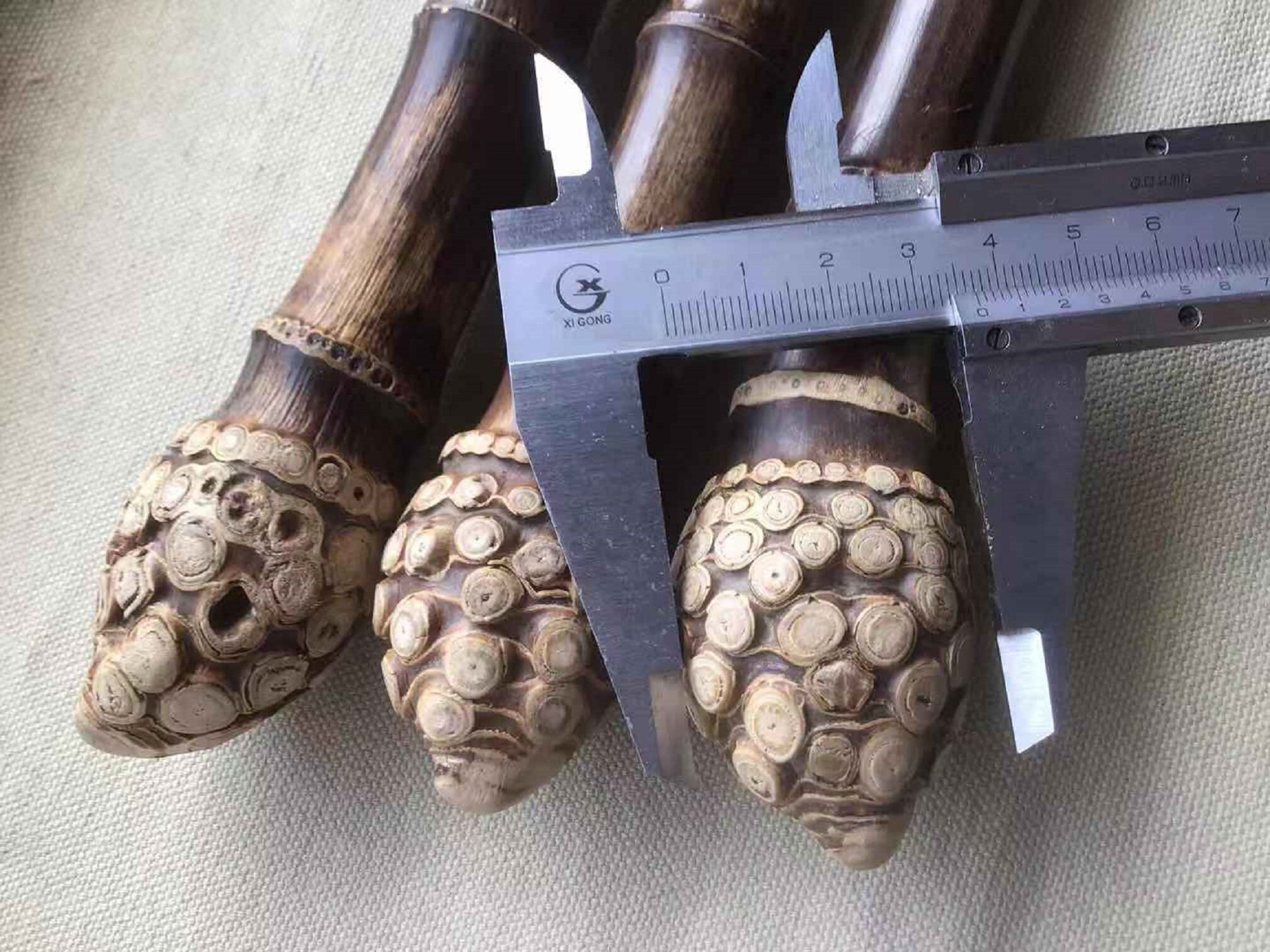 Length 53/57135145cmblack Bamboo Sticks With Root Etsy