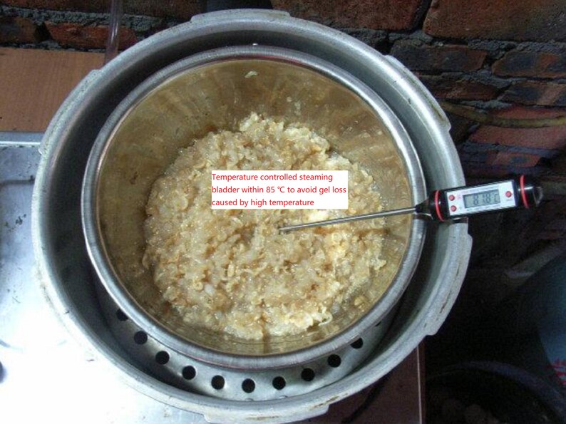 Fish bladder compound glue/Dried croaker bladder for making 画像 5