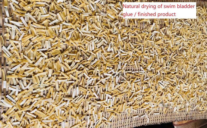 Fish bladder compound glue/Dried croaker bladder for making 画像 10
