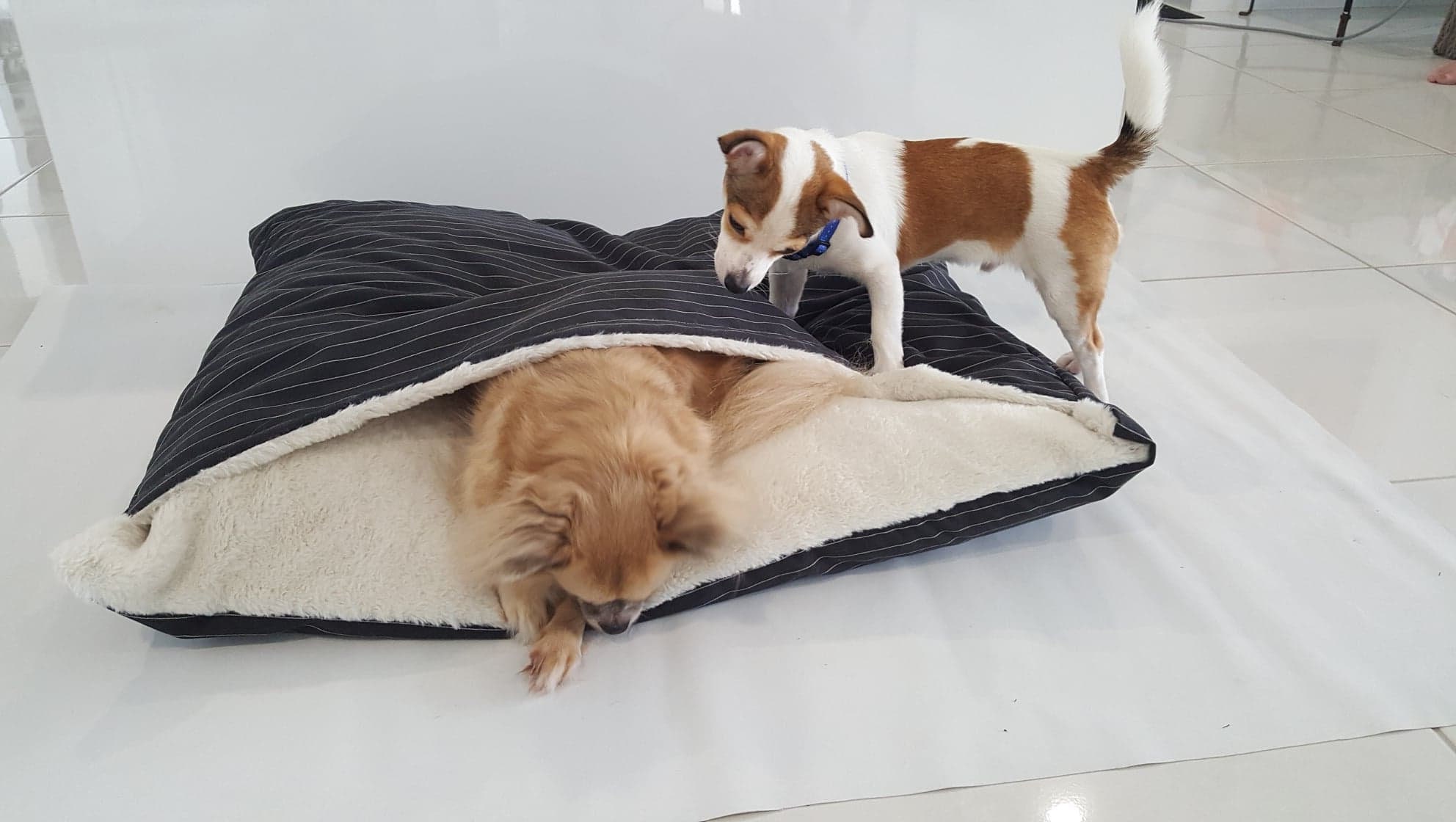 Cave dog bed, Dog bed cover, Whippets bed, Snuggle bed. 93cm x 70cm.