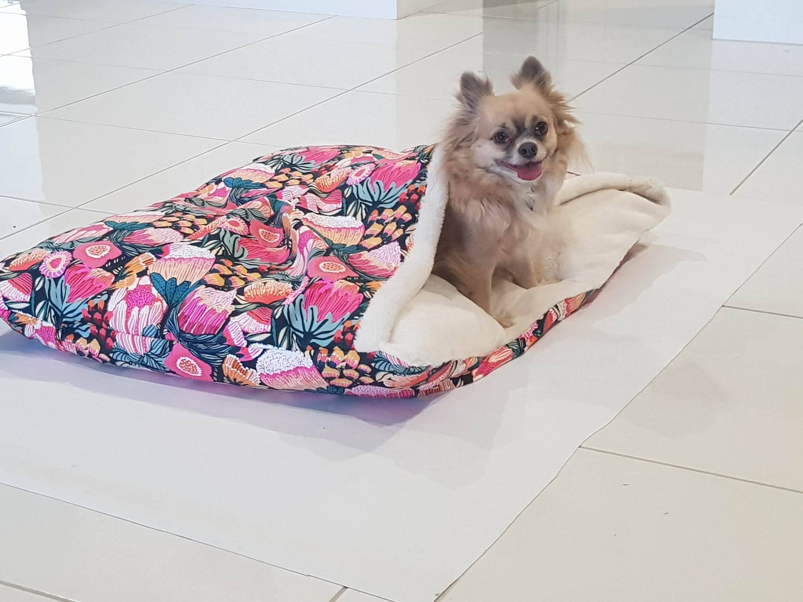 8+ Stylish Pink Dog Beds For Australian Dogs