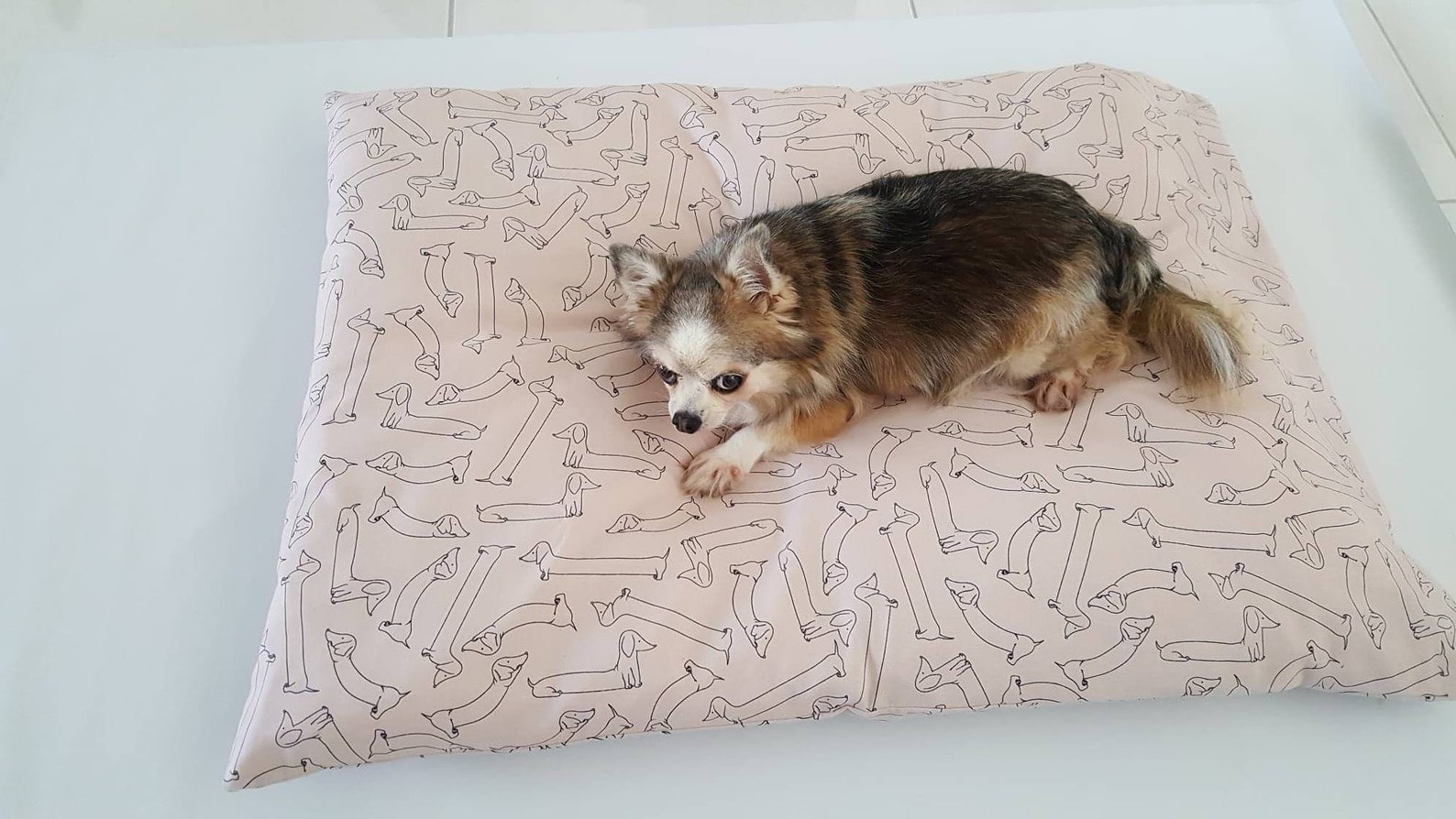 11+ Cute Dog Pillows For Australian Dogs