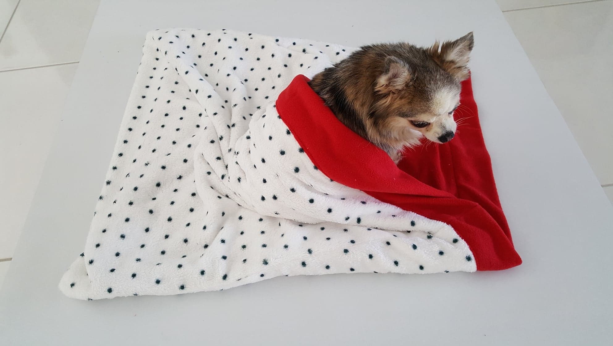 Dog bed, Dachshund bed, Snuggle bed, Warm dog bed.