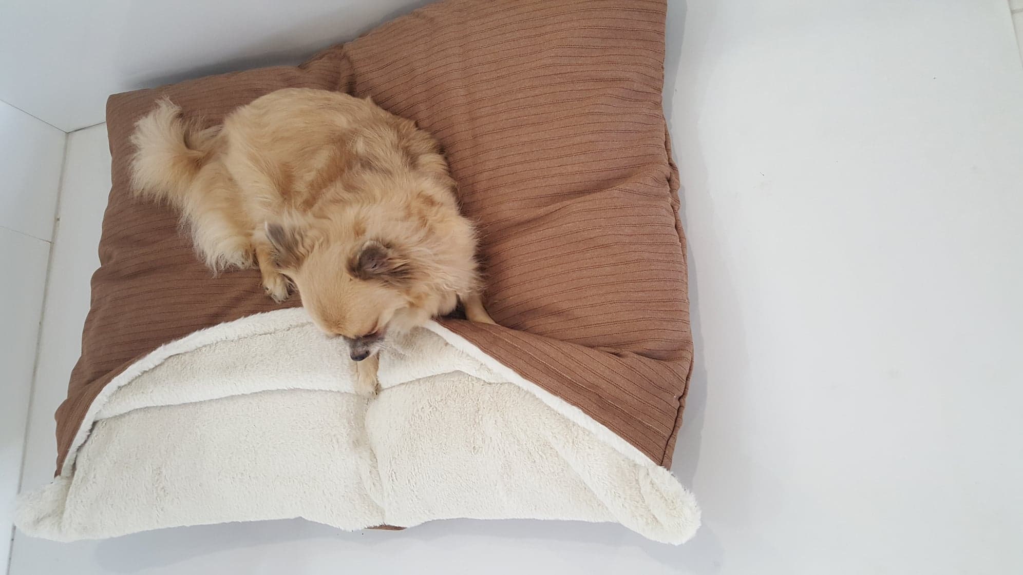 Dog beds, Cave Dog Bed, Snuggle dog bed, Whippet dogs. 90 cm x 72 cm