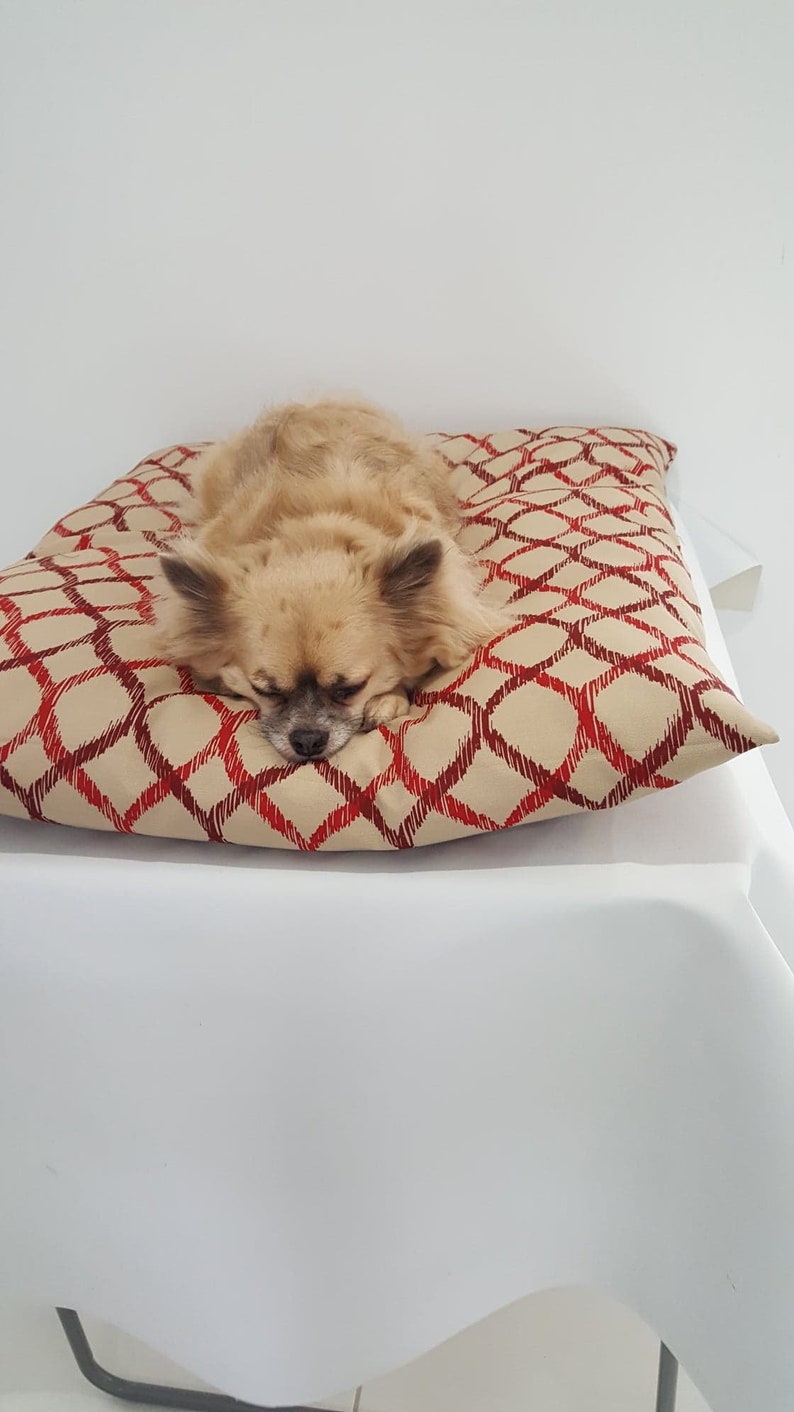 Dog bed, Dog bed cover, Medium dog bed, Dog beds image 4