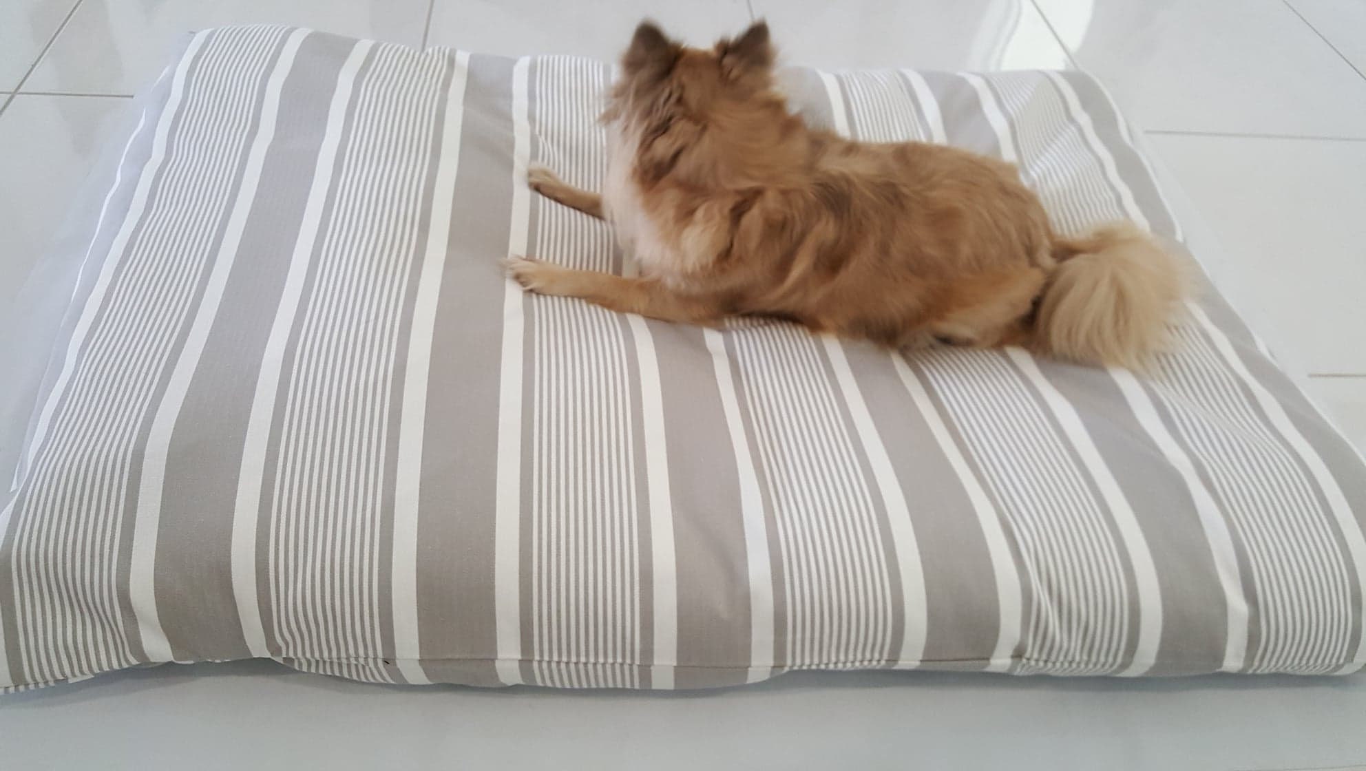 Dog bed, Whippet dogs, Dog bed cover.