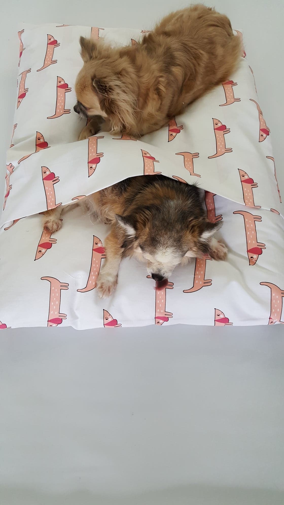 Cave dog bed, Dog bed Cover, Dogsnuggle bed, Dachshund bed.