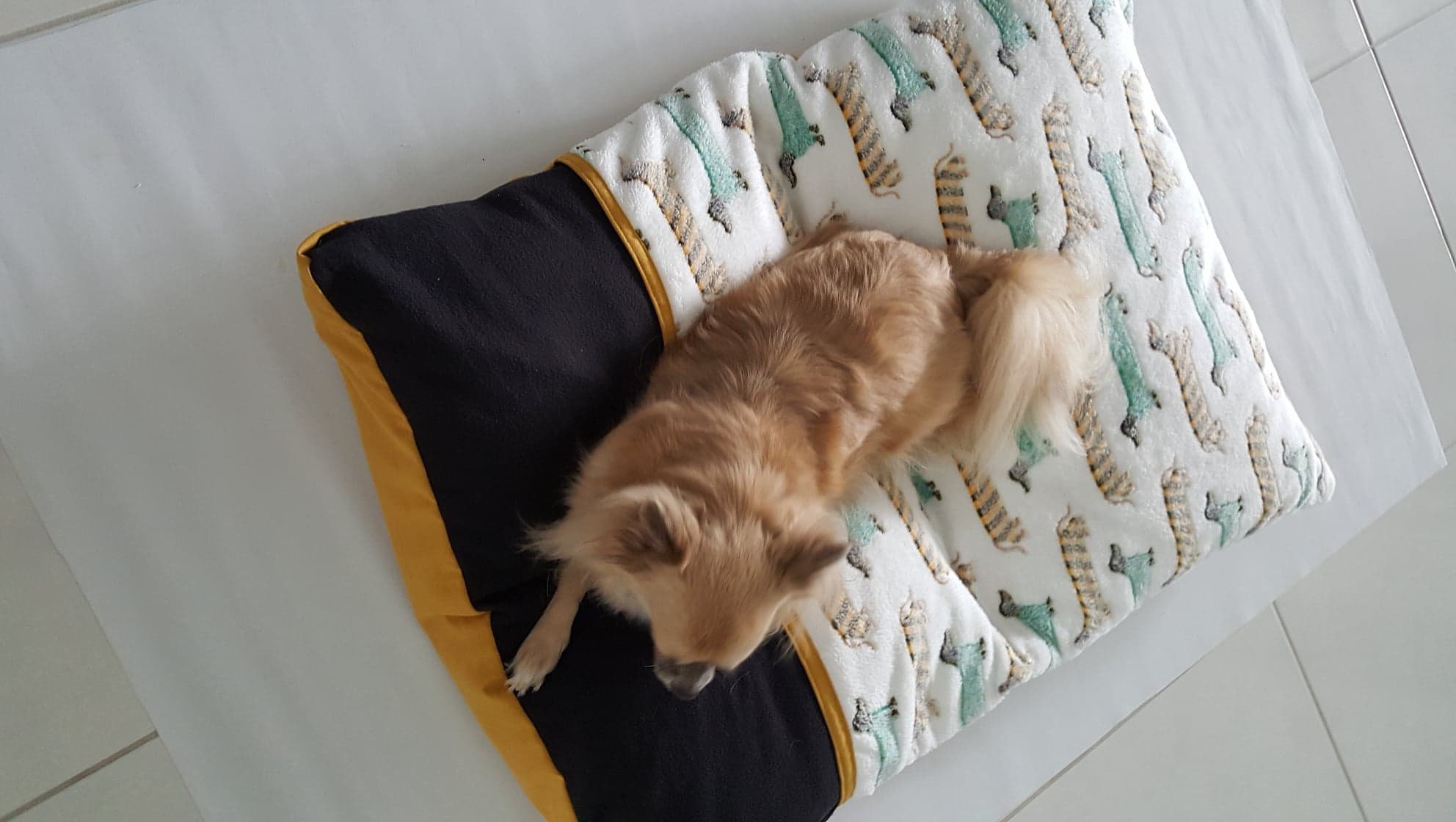 covered nesting dog beds