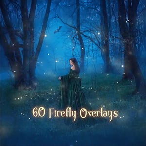 60 Firefly Overlays, starLights Overlay, Fairy Dust ,Dragonfly butterfly Photo Overlays, Photoshop Magic Overlay, Fairies Gleam, png