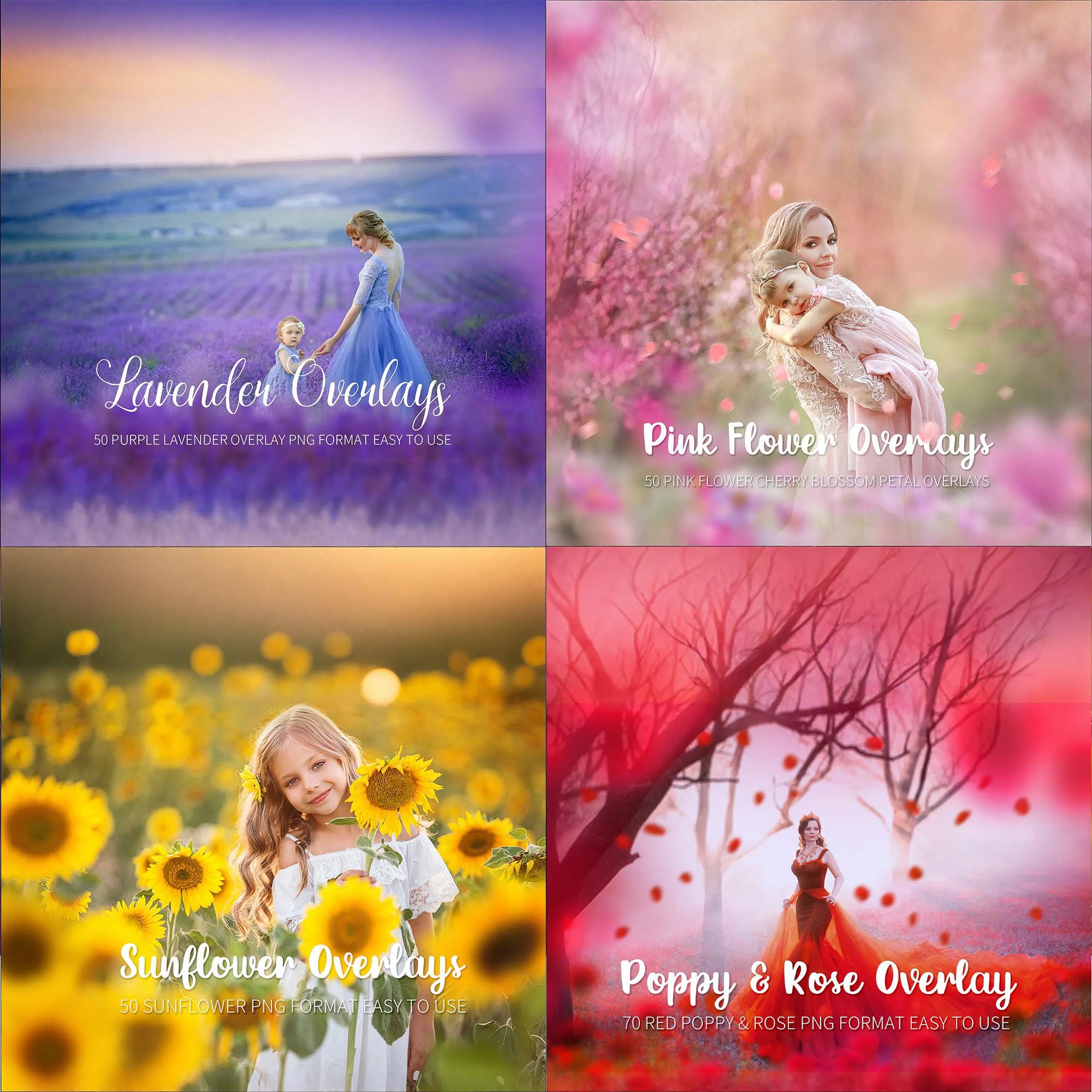 280 four—color overlays，photoshop summer overlays，red purple orange and pink digital backdrop, romantic bokeh frame, texture png file