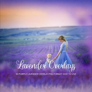 Lavendel Overlays, Photoshop Sommer Overlays, lila digitaler Hintergrund, romantischer Bokeh Rahmen, Textur png Datei