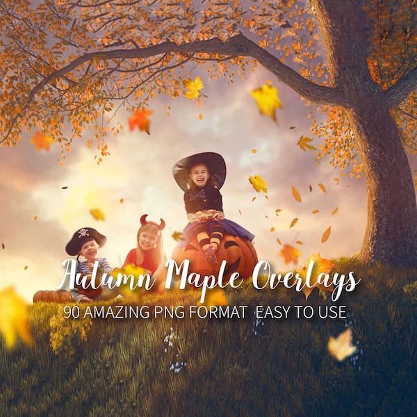 90 Autumn leaves overlay: falling maple leaves, fall leaves, autumn maple overlays, oak leaf autumn, easy to use, Transparent backdrop PNG