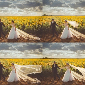 80 wedding veil overlays, wedding dress overlays, Flying fabric overlay Photoshop Overlay, Create great wedding photos digital download png image 4