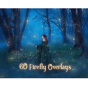 60 Firefly Overlays, starLights Overlay, Fairy Dust ,Dragonfly butterfly Photo Overlays, Photoshop Magic Overlay, Fairies Gleam, png