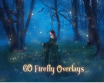 60 Firefly Overlays, starLights Overlay, Fairy Dust ,Dragonfly butterfly Photo Overlays, Photoshop Magic Overlay, Fairies Gleam, png