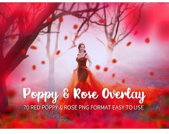 Superpositions de roses rouges, superpositions d'été photoshop, toile de fond numérique rouge, cadre bokeh romantique, fichier png de texture