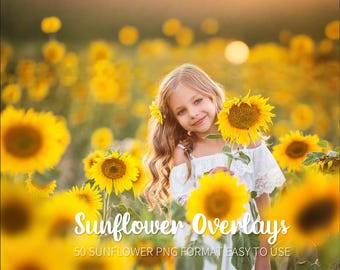 33 zonnebloem-overlays (photoshop-zomeroverlays) oranje digitale achtergrond, romantisch bokeh-frame, textuur png-bestand