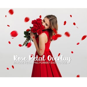 Rose petals overlays：wedding overlays，Falling rose petals PNG photoshop overlays，Romantic photoshop overlays Instant download