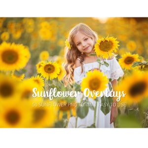 33 sunflower overlays，photoshop summer overlays，orange digital backdrop, romantic bokeh frame, texture png file