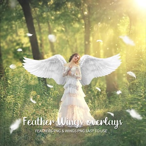 Angel Wings Photo Prop overlays,photoshop overlays,Feather Overlays Photo Overlays, Wings PNG magic fairy fantasy wing