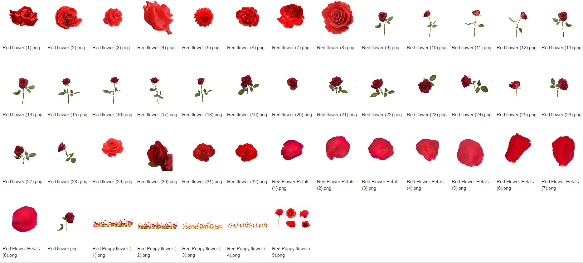 Rose Petals Overlays：wedding Overlays，falling Rose Petals PNG Photoshop ...