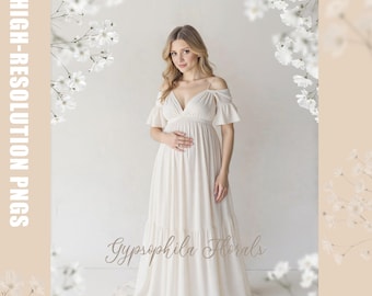 Sovrapposizioni di rami di gypsophila per composizioni fotografiche di maternità (download digitale)
