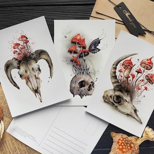 3 Boho Skull, Moodboard Velvet Cards. Carneiro, Cabra, Crânios Humanos com Cogumelos Amanita Vermelhos. Conjunto de gravuras de souvenir, arte de terror gótico e sombrio