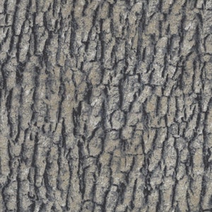 Northcott Naturescapes, Cotton Quilt Fabric by the Yard, Gray Bark 21397-94