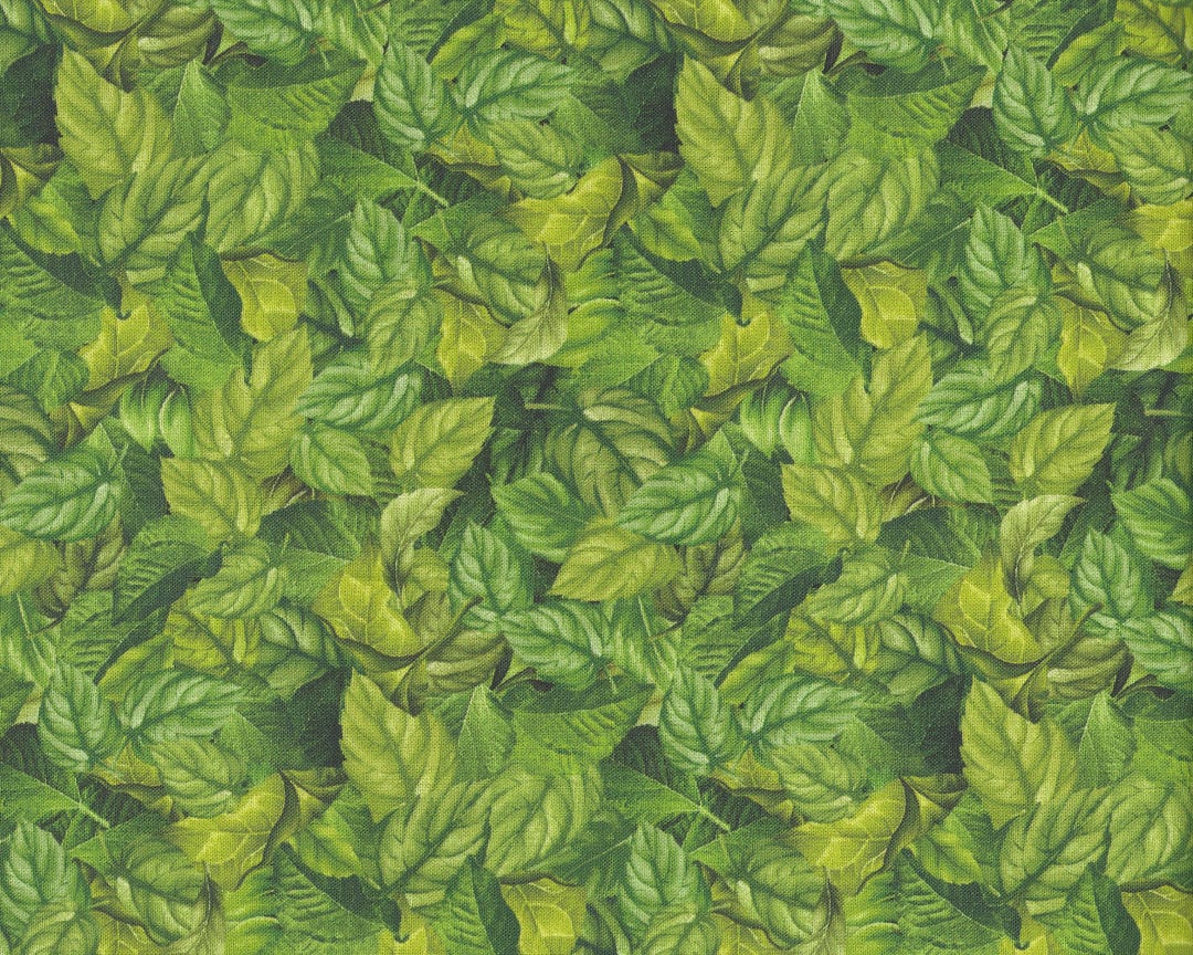 Fleur Leaves Cotton Quilt Fabric by the Yard, Timeless Treasures CD3366 ...