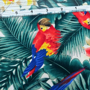 Remnant 21-inch Cotton Quilt Fabric, little macao by Alexander Henry