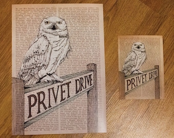 Snowy owl on a sign on book page - print/illustration