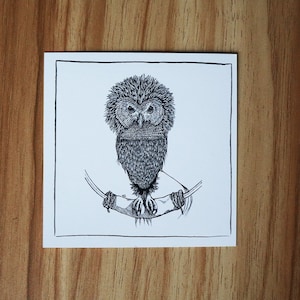 Fantastic Beasts - Fwuuper - Potterhead ansichtkaart/collectiekaart