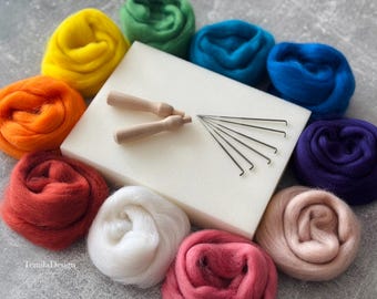 Lana per infeltrimento/Kit fai da te per principianti/Set per infeltrimento ad ago/Set per principianti/Lana/Lana colorata/Kit per infeltrimento artigianale/Infeltrimento a umido/Infeltrimento a secco