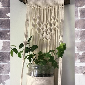 以下が含まれることがあります： 上部に木製の棒が付いた白いマクラメ製のプラントハンガー。ハンガーはガラスの瓶を保持しており、その中に植物が入っています。瓶は白いロープで包まれています。