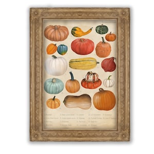 Stampa di zucca e zucca / Poster vintage / Arredamento per ufficio / Illustrazione botanica / Poster autunnale / Idea regalo / Arte della parete / Poster della natura