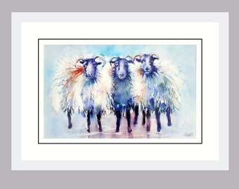 Sheep, Original, Framed, Watercolour, Bright, Pink, Blue, Illustration, Painting, Sheep Art, Medium Size, Contemporary, Artwork, Animal Art