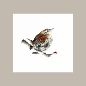 Wren & Ladybird, biglietto d'auguri Fine Art, per uomo e donna. Grande, interno vuoto, di lusso. Grazie, buon compleanno, amicizia, biglietto di auguri per la fauna selvatica