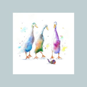Grote wenskaart, Indian Runner Ducks, kleurrijk, grappig, eigenzinnig, kaart hedendaagse kunst, voor mannen en vrouwen, blanco van binnen, schattig, grillig
