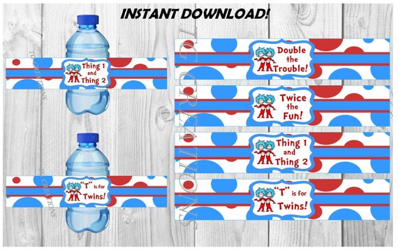 thing 1 and thing 2 baby shower