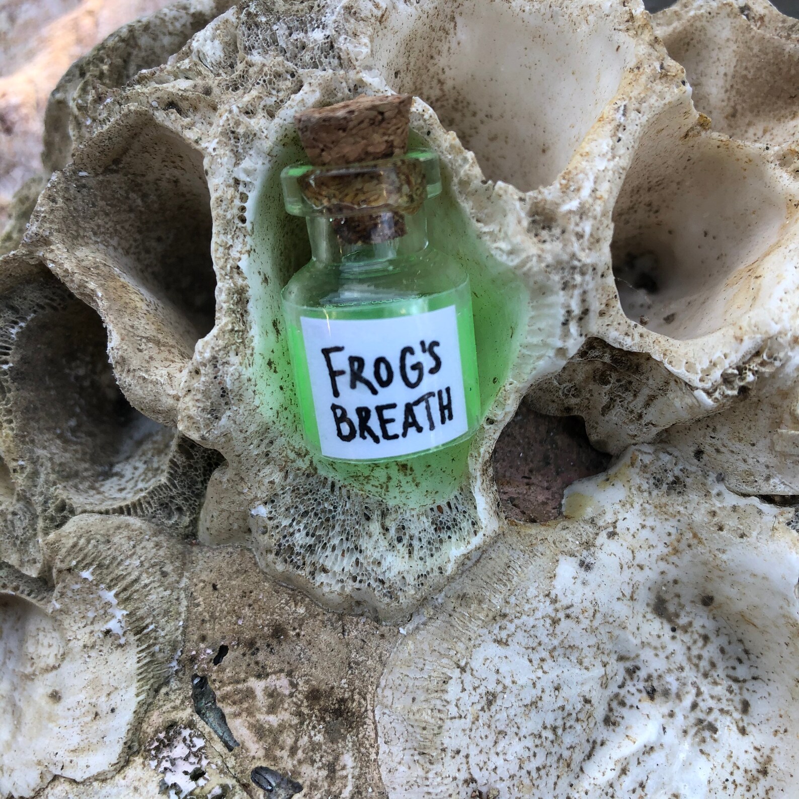 LIMITED EDITION 3 LEFT Frogs Breath Potion Etsy