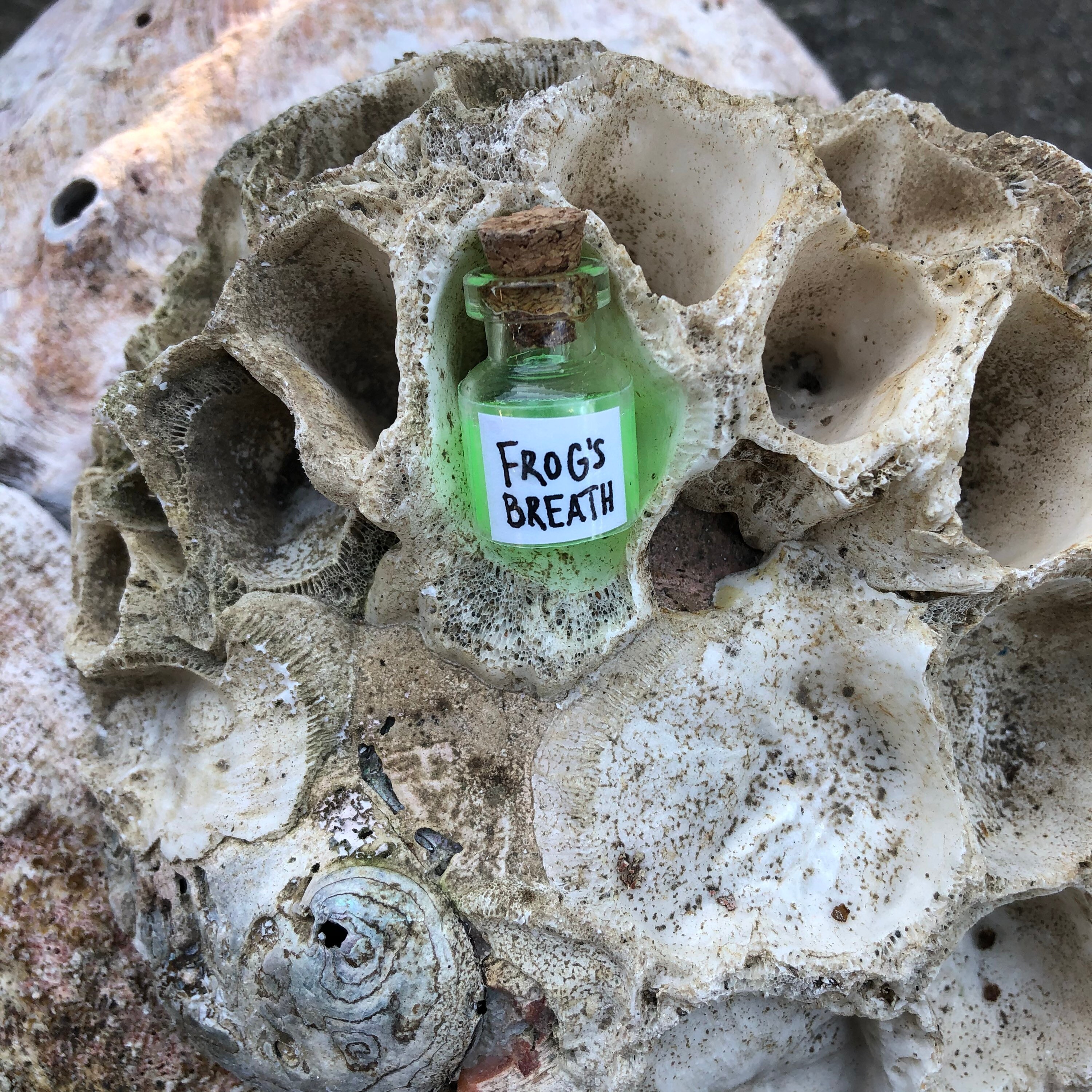 LIMITED EDITION 3 LEFT Frogs Breath Potion Etsy