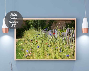 Buntes Mohnblumen-Fotoposter
